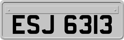 ESJ6313