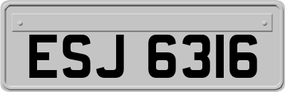 ESJ6316