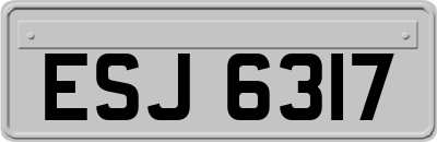 ESJ6317