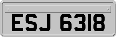 ESJ6318
