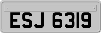 ESJ6319