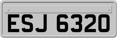 ESJ6320