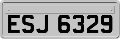 ESJ6329