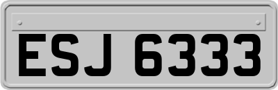 ESJ6333
