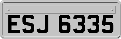 ESJ6335