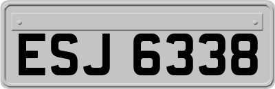 ESJ6338