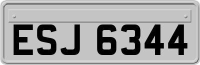 ESJ6344