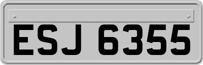 ESJ6355