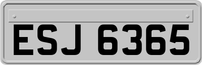 ESJ6365