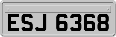 ESJ6368