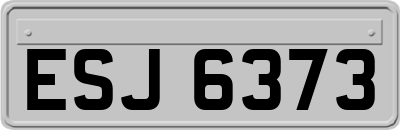 ESJ6373