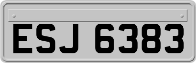 ESJ6383