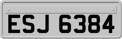 ESJ6384