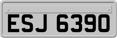 ESJ6390