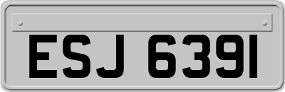 ESJ6391