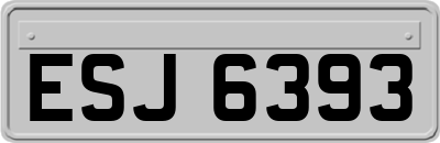 ESJ6393