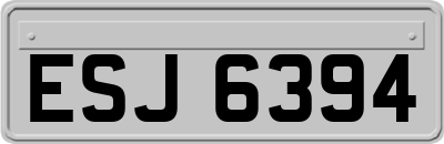 ESJ6394