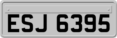 ESJ6395