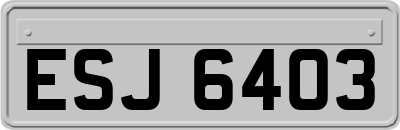 ESJ6403