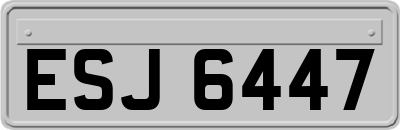 ESJ6447