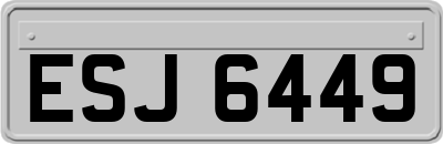 ESJ6449