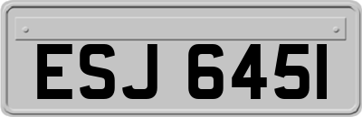 ESJ6451