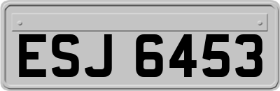 ESJ6453