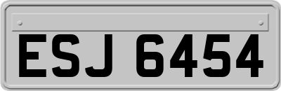 ESJ6454