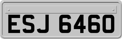 ESJ6460
