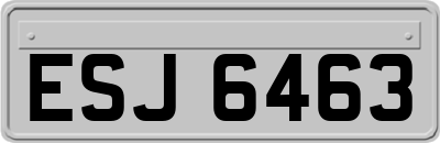 ESJ6463