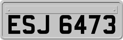 ESJ6473