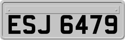 ESJ6479