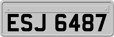 ESJ6487