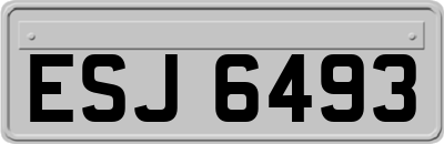 ESJ6493