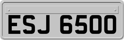 ESJ6500