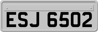 ESJ6502
