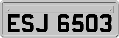 ESJ6503