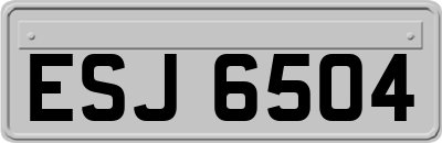 ESJ6504