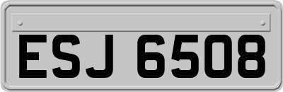 ESJ6508