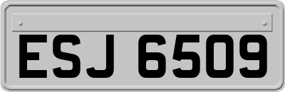 ESJ6509