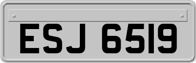 ESJ6519