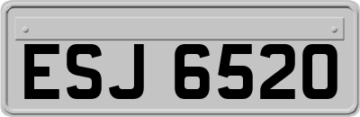 ESJ6520