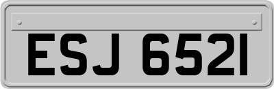 ESJ6521