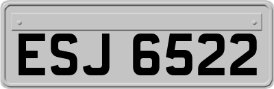 ESJ6522