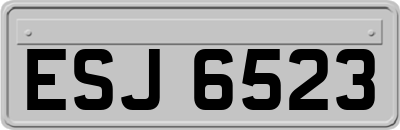 ESJ6523