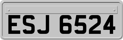 ESJ6524