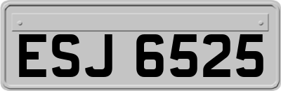 ESJ6525