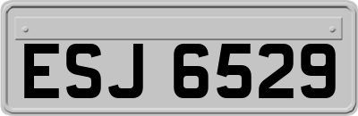 ESJ6529