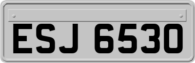 ESJ6530