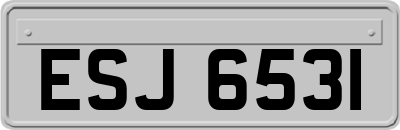 ESJ6531